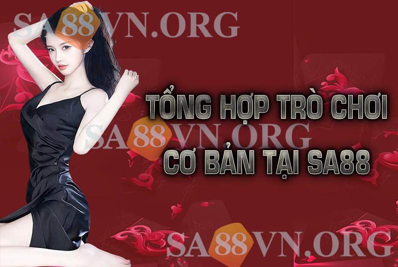 Giới Thiệu Về SA 88