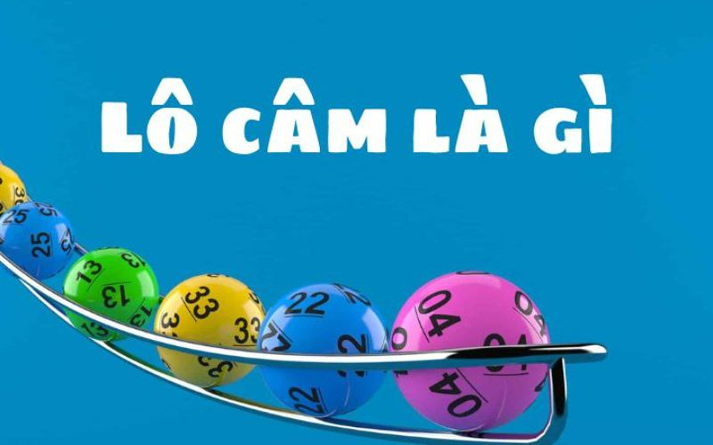 Lô Câm – Bí Quyết Tìm Số Chuẩn Cho Người Mới Bắt Đầu